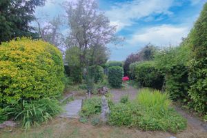 Photo 15- click for photo gallery